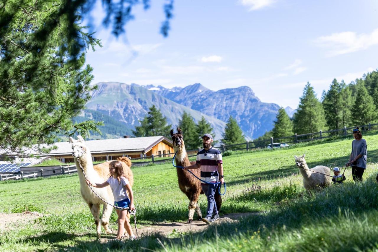 La Tresenda Hotel And Mountain Farm Livigno Eksteriør billede