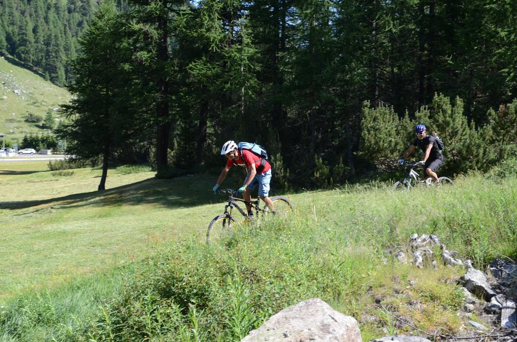 La Tresenda Hotel And Mountain Farm Livigno Eksteriør billede